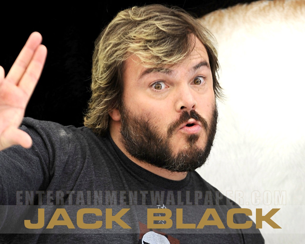 jack-black-photos