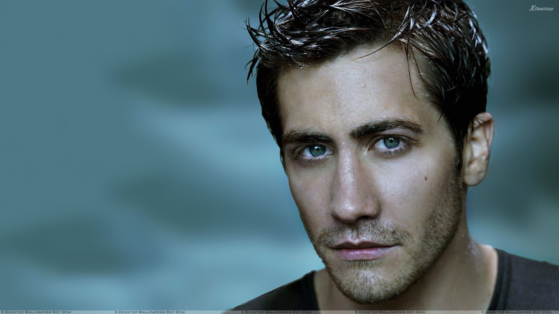 jake-gyllenhaal-wallpapers