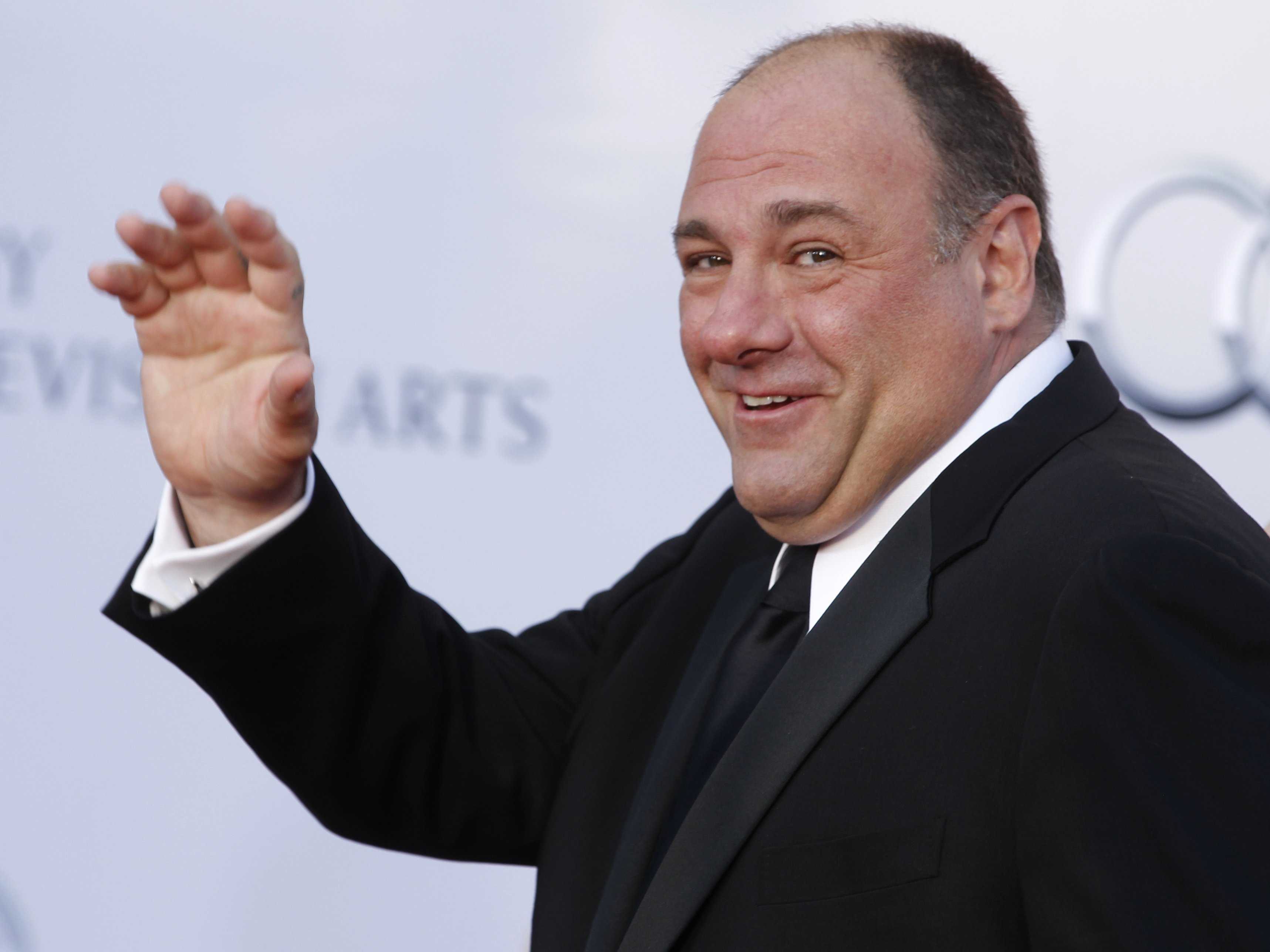 james-gandolfini-2015