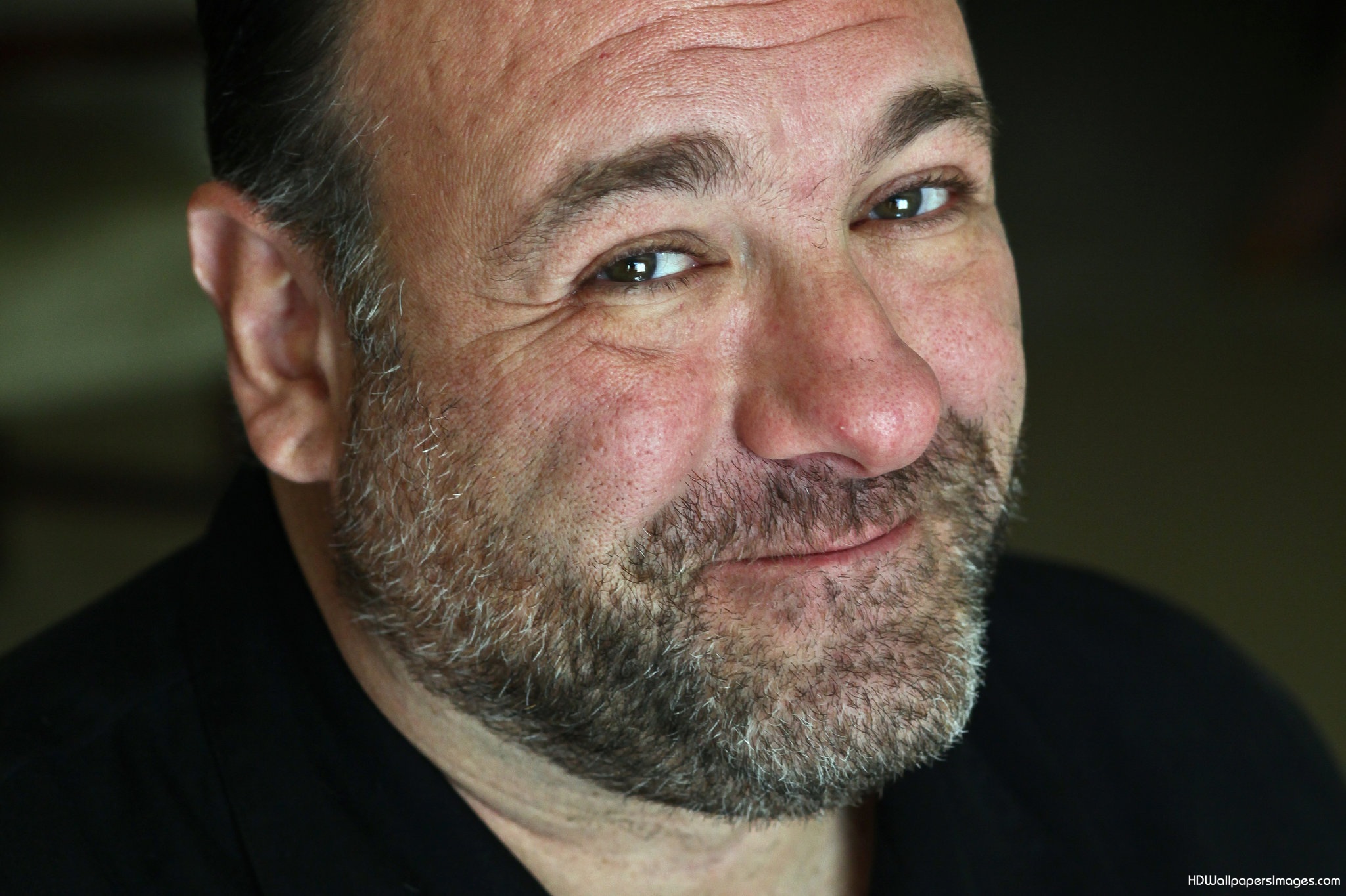 james-gandolfini-2016