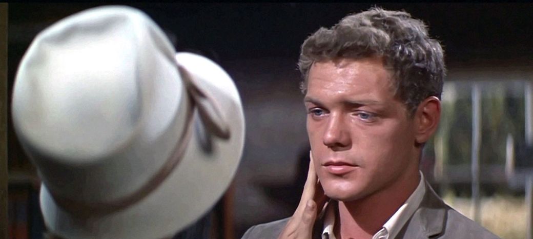james-macarthur-images