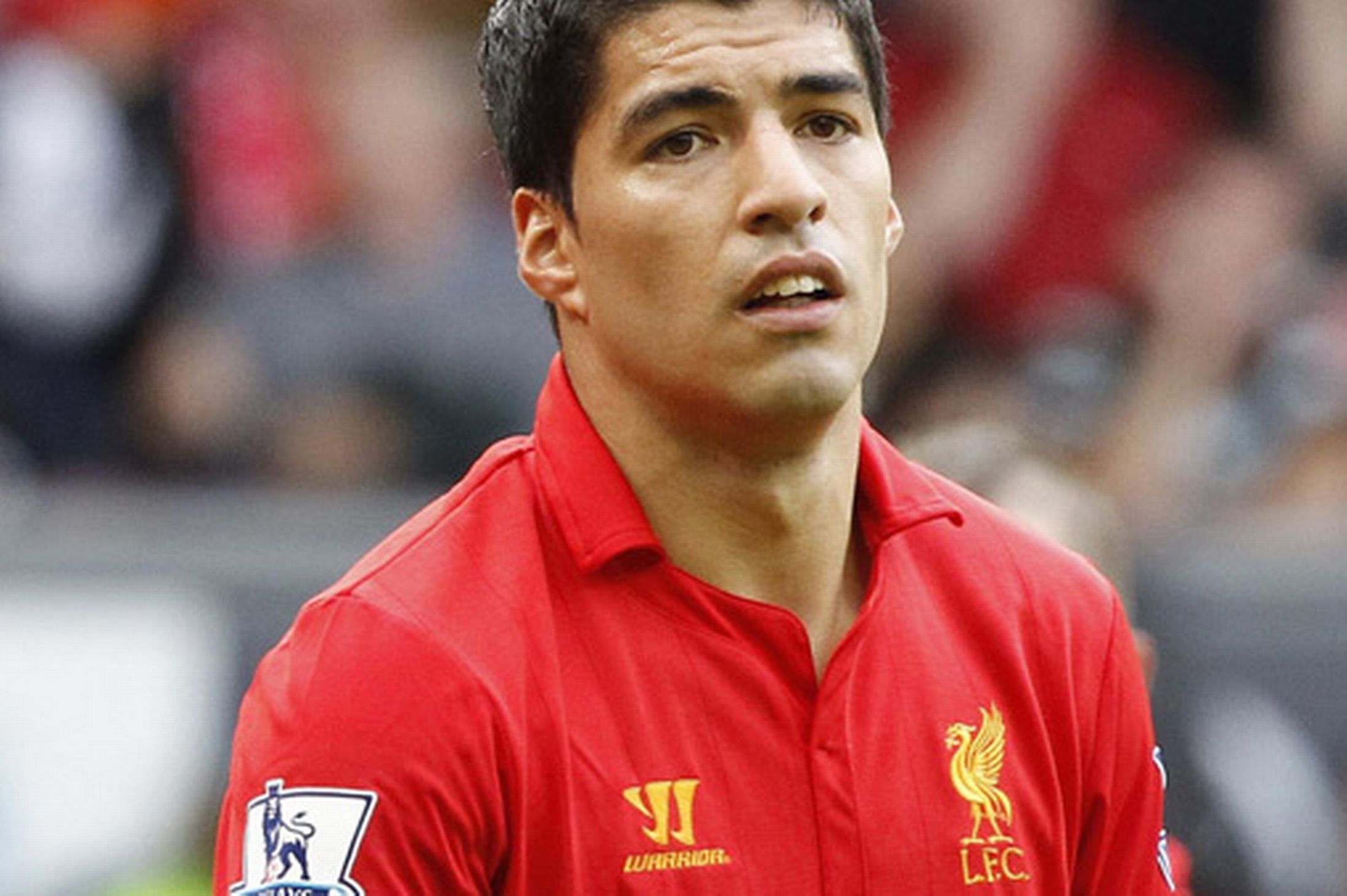 jeremy-suarez-gossip