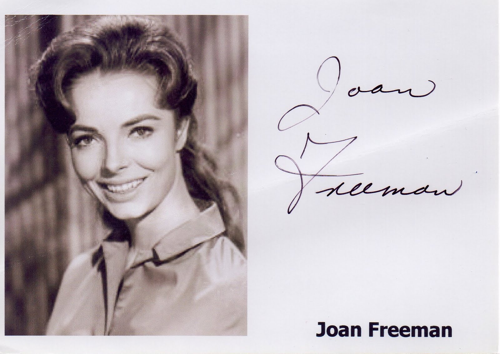 Joan freeman images