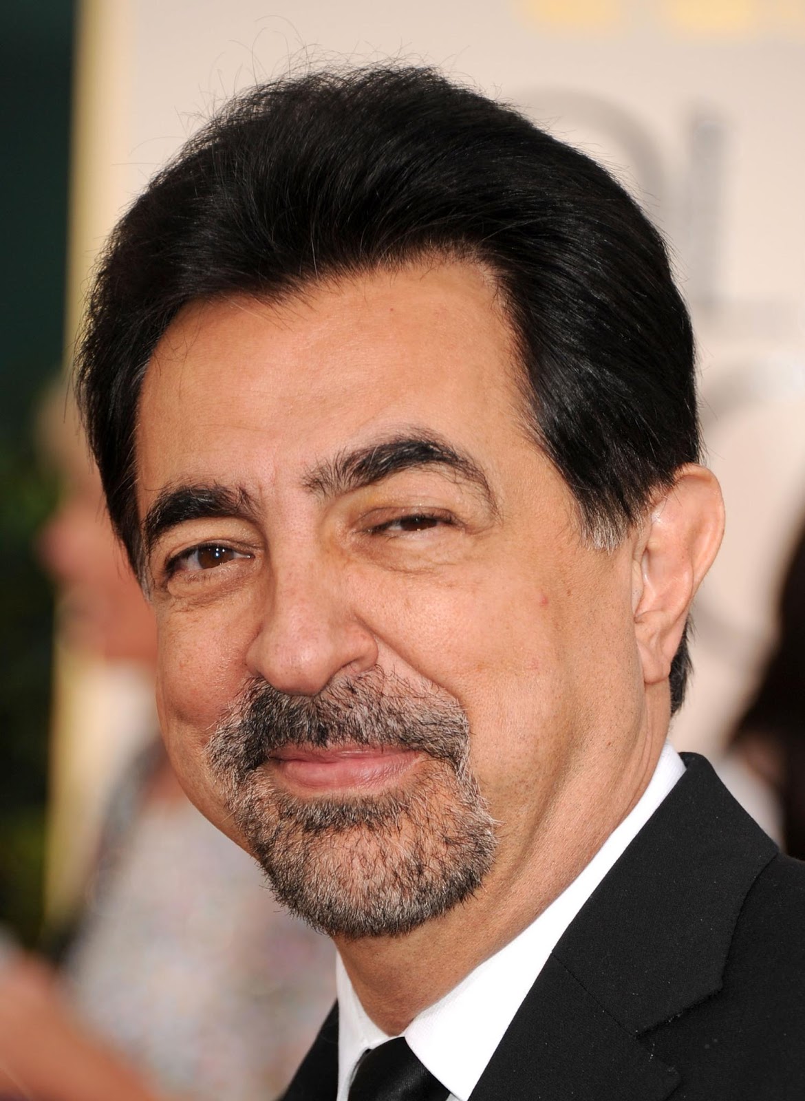 best-pictures-of-joe-mantegna