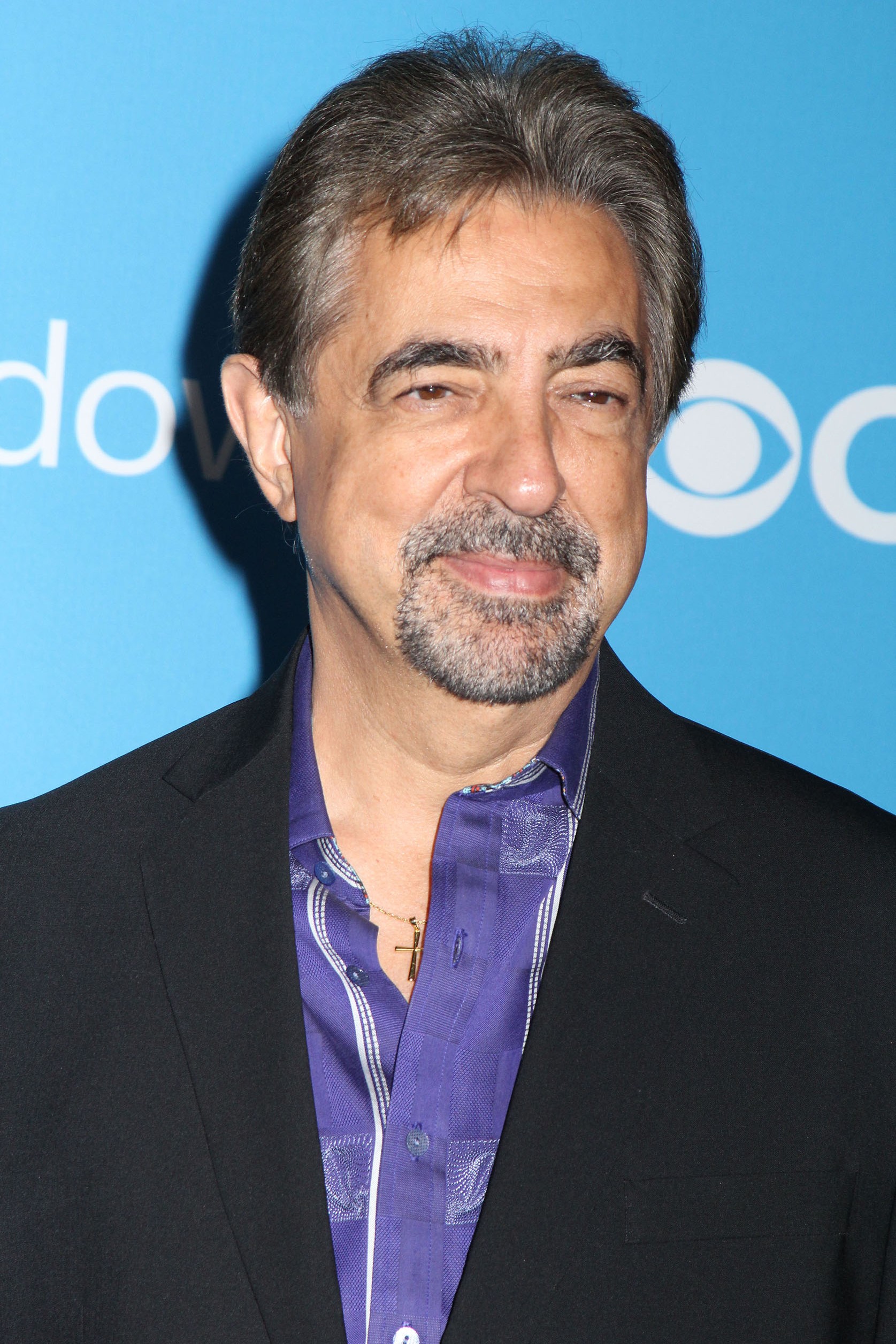 joe-mantegna-family