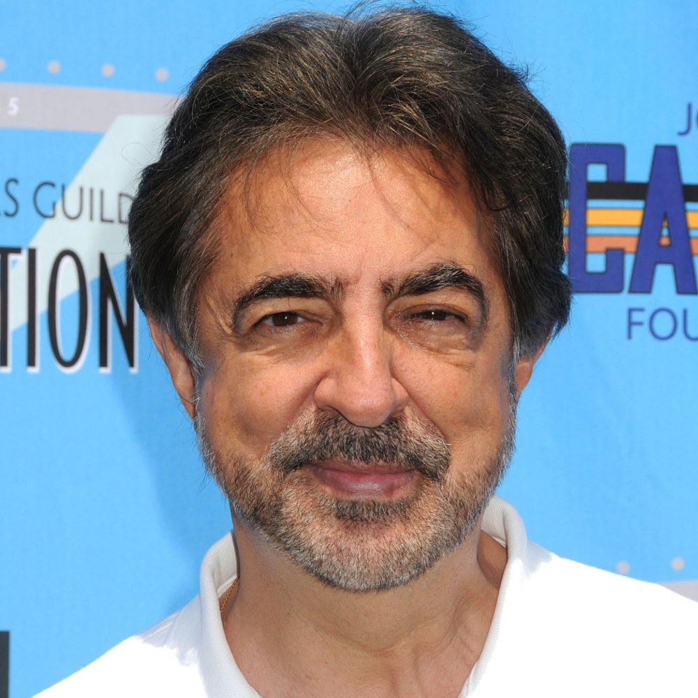 joe-mantegna-hd-wallpaper