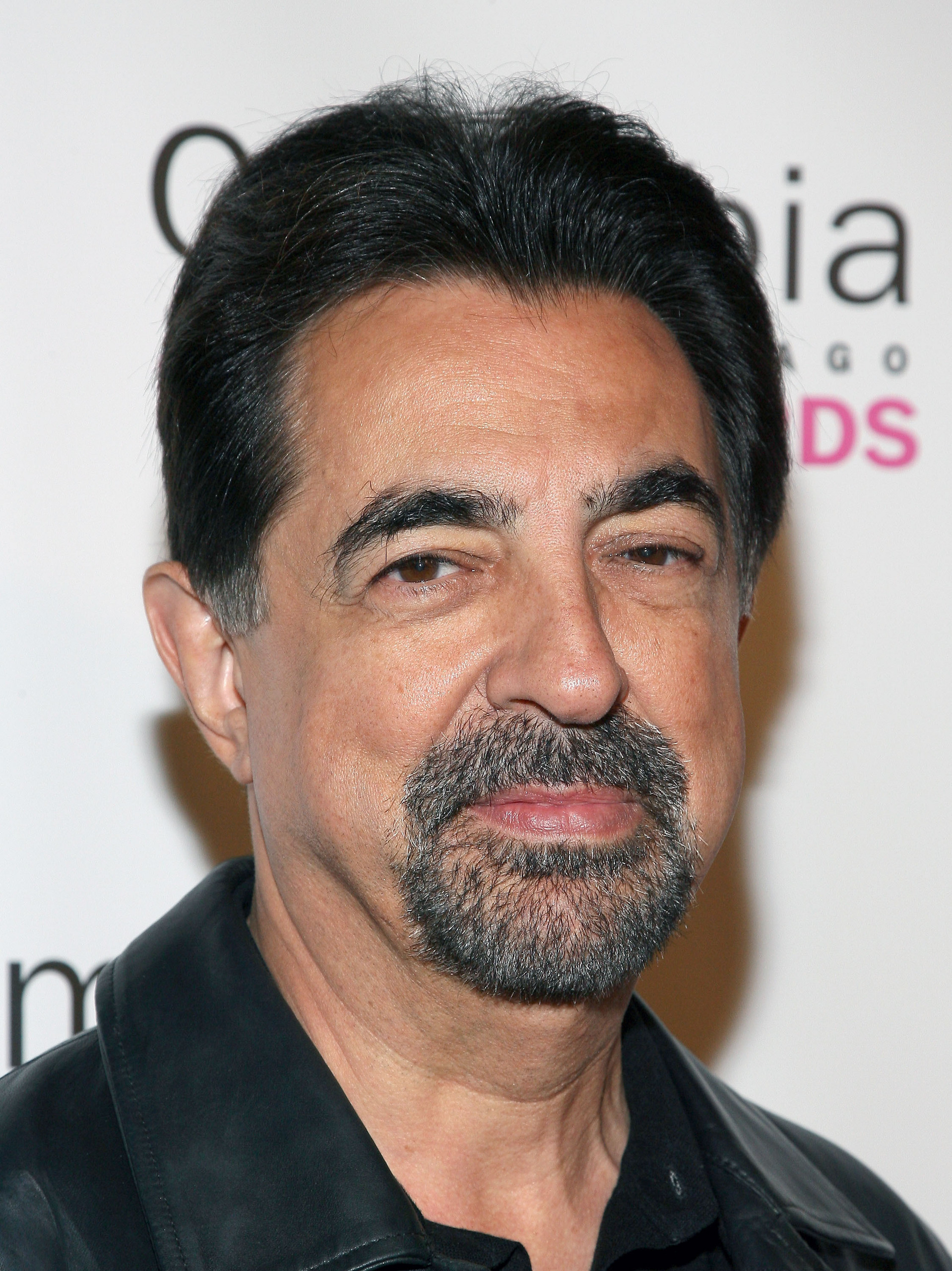 joe-mantegna-images