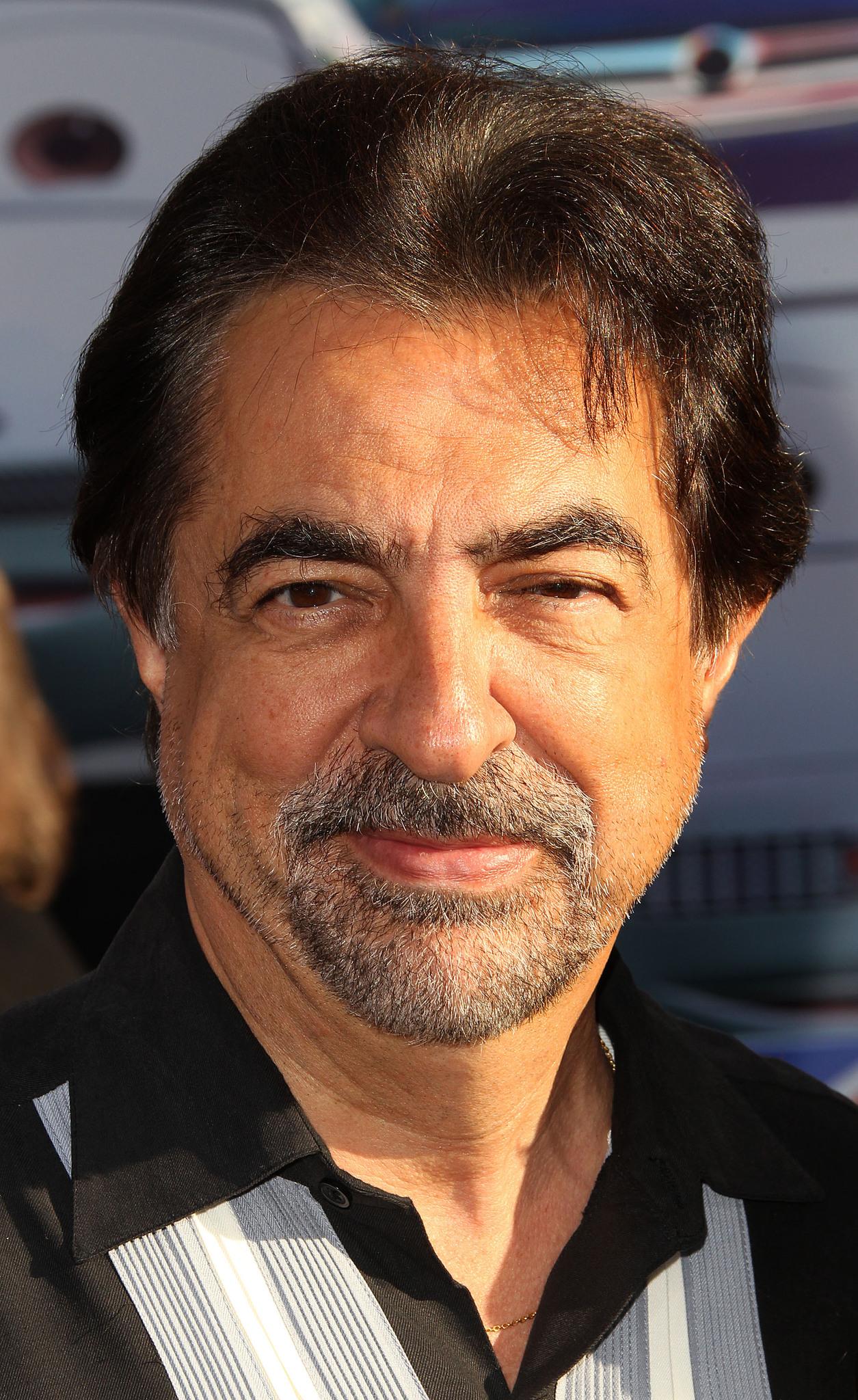 joe-mantegna-young