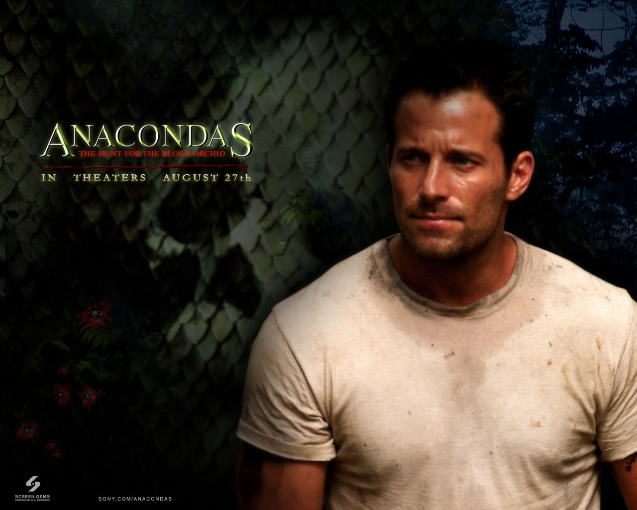 johnny-messner-actor-news