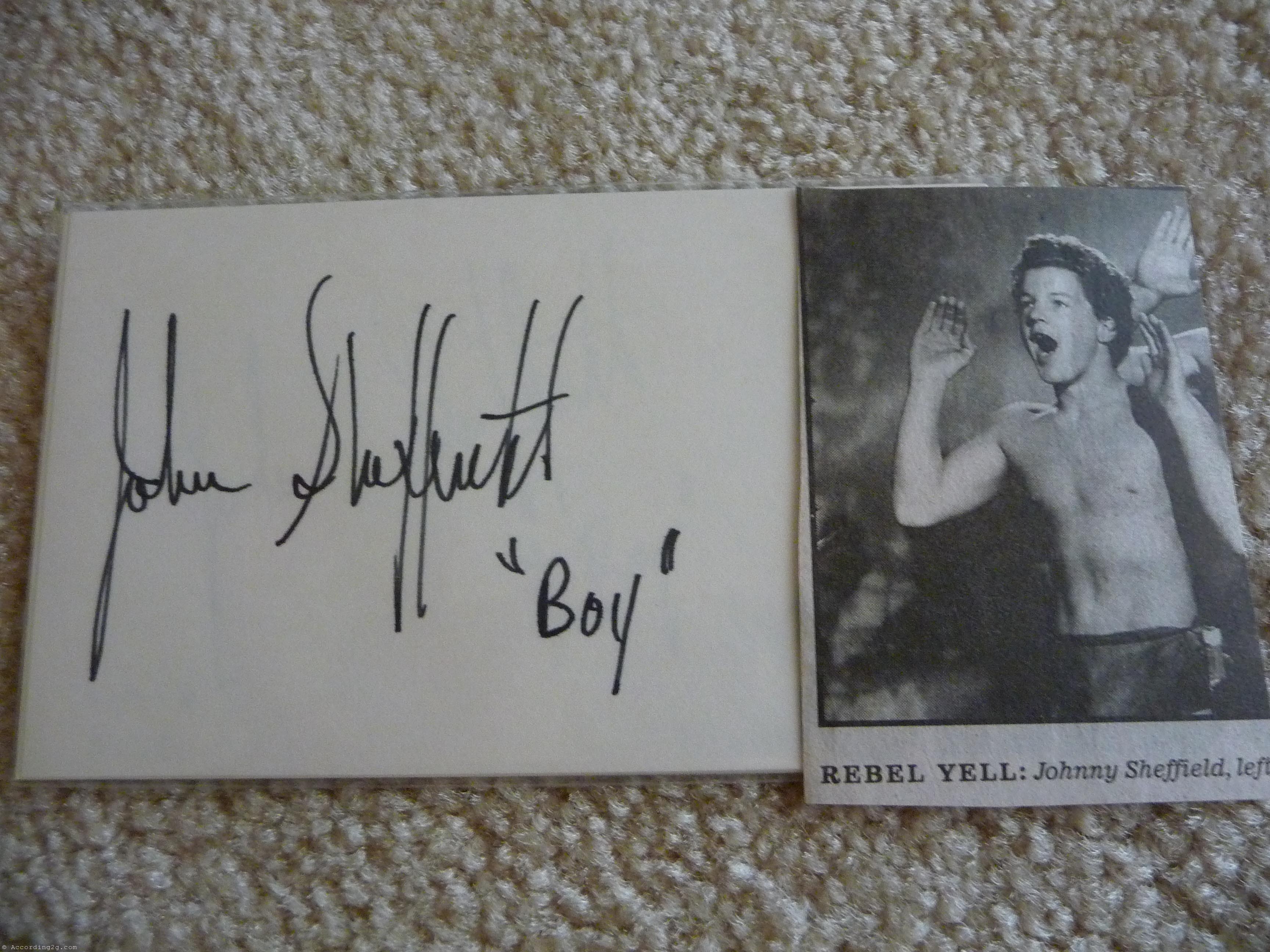 johnny-sheffield-news