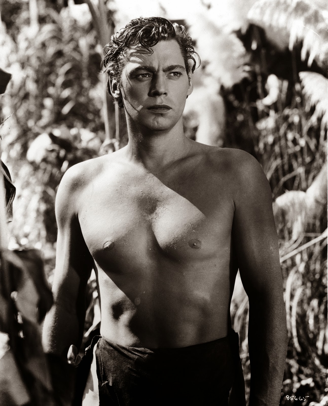 johnny-weissmuller-jr-scandal