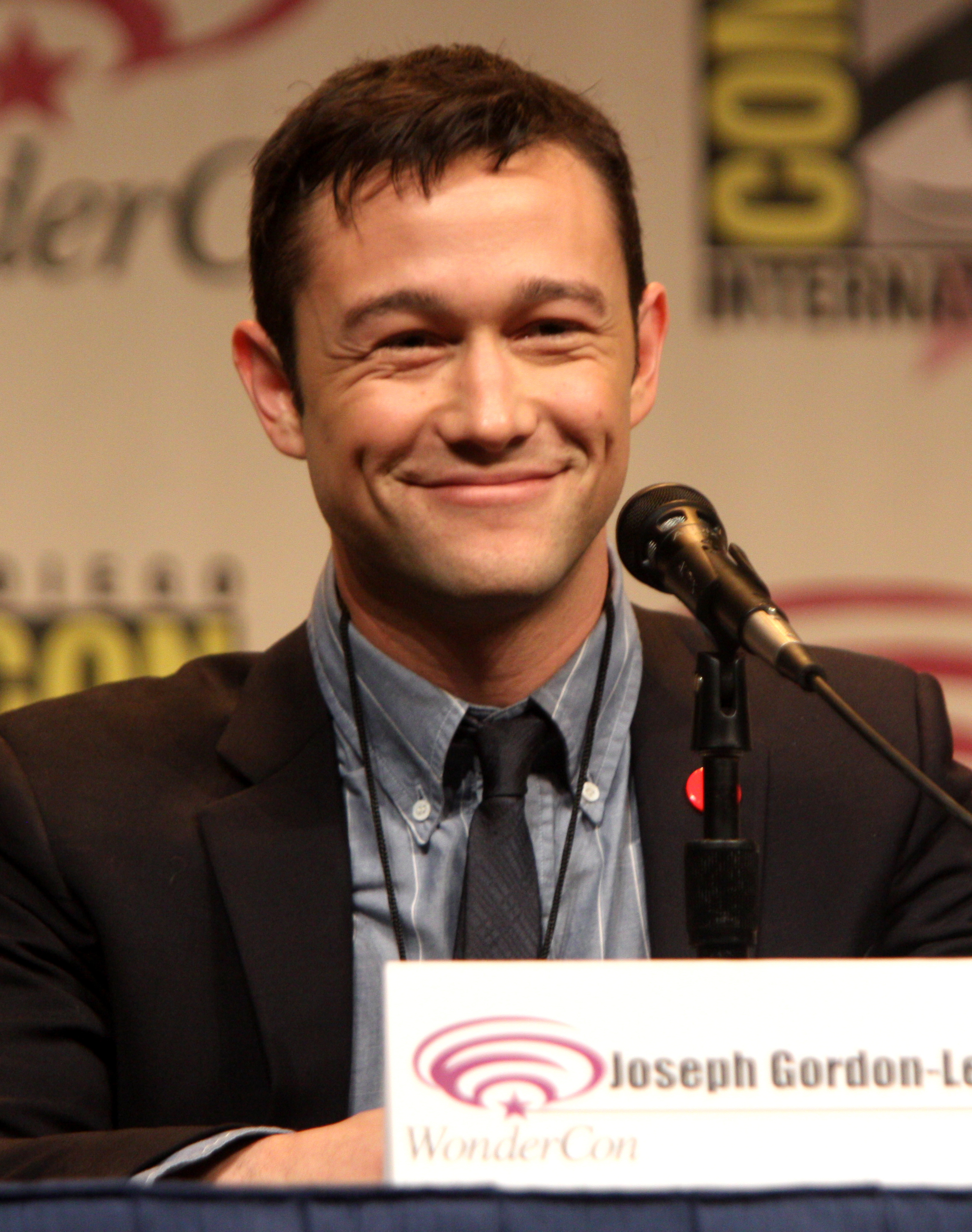 joseph-gordon-levitt-summertime