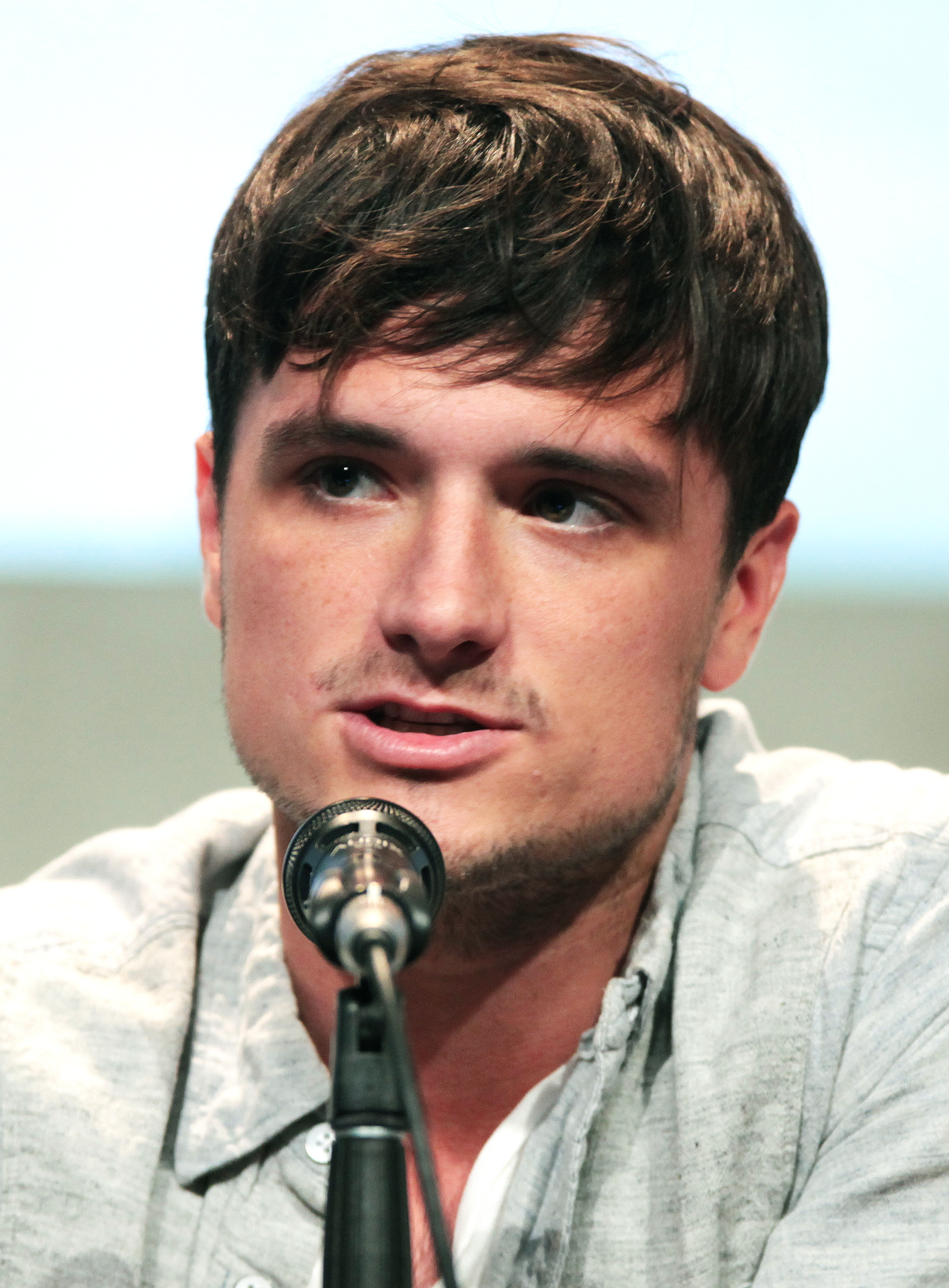 josh-hutcherson-house