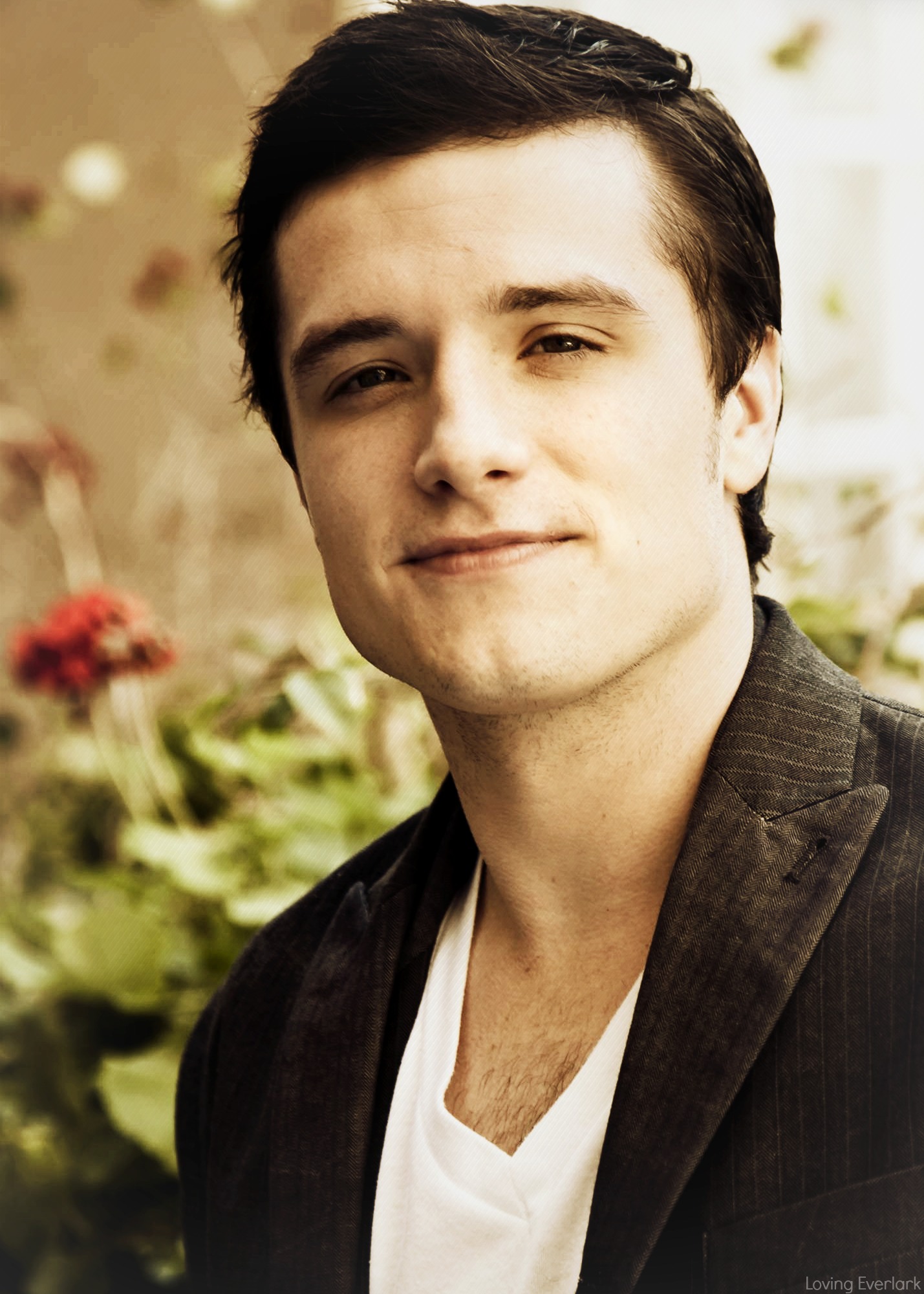 josh-hutcherson-scandal