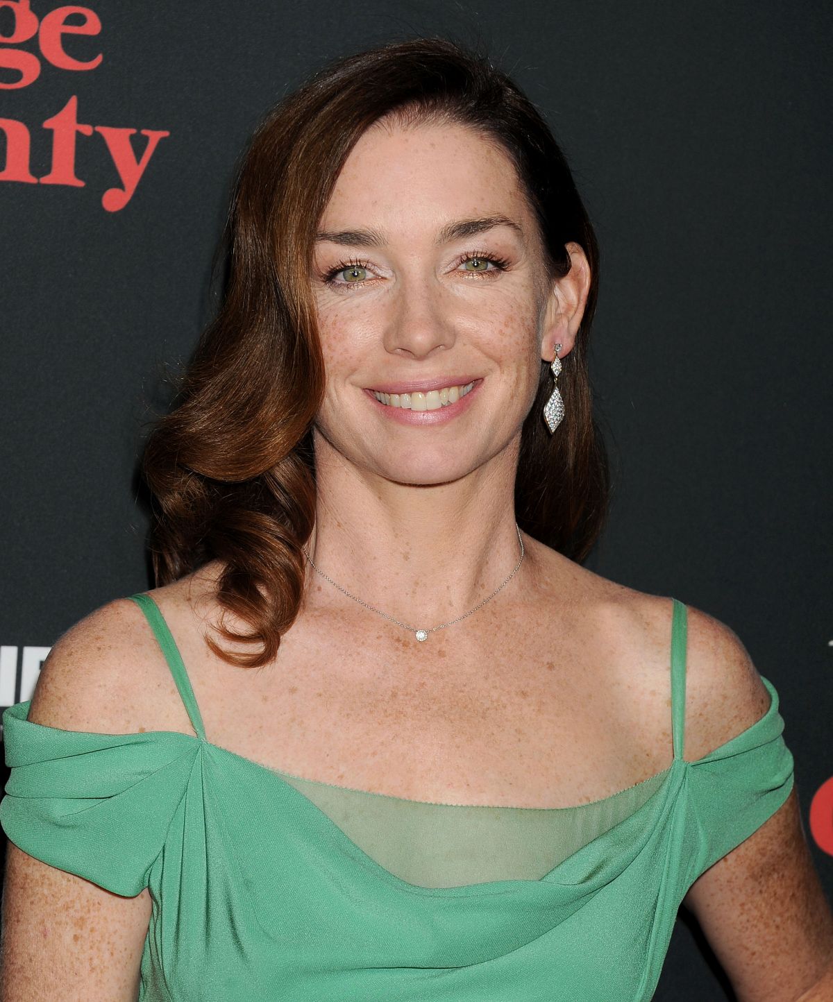 best-pictures-of-julianne-nicholson