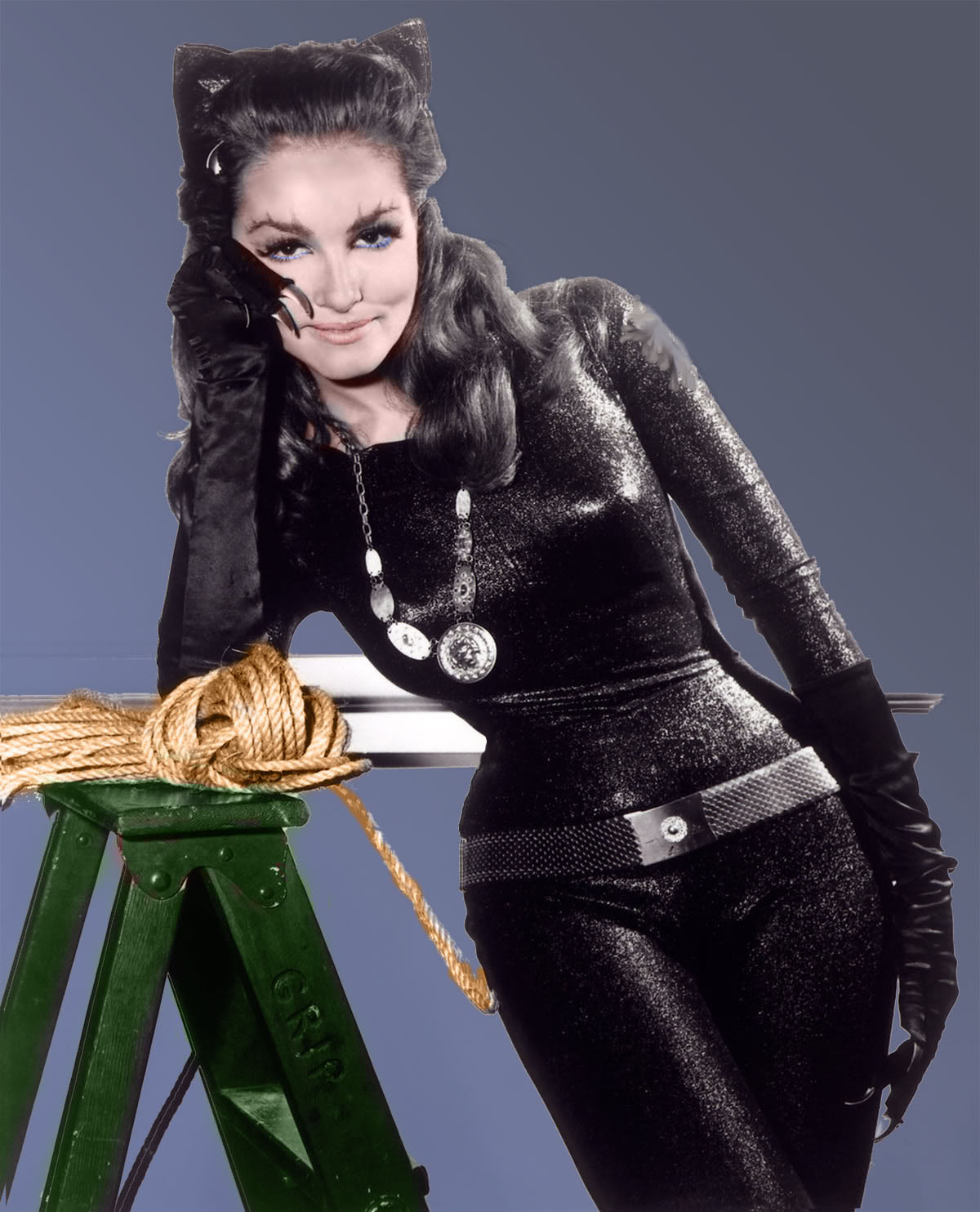 images-of-julie-newmar