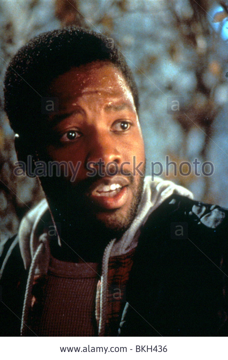 kadeem-hardison-movies