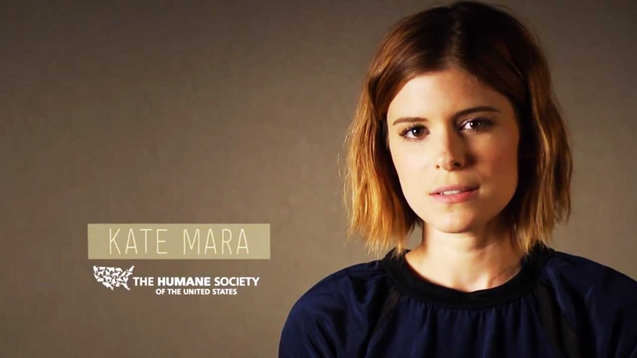 kate-mara-family