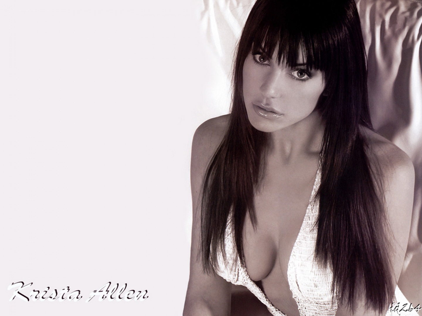 krista-allen-party