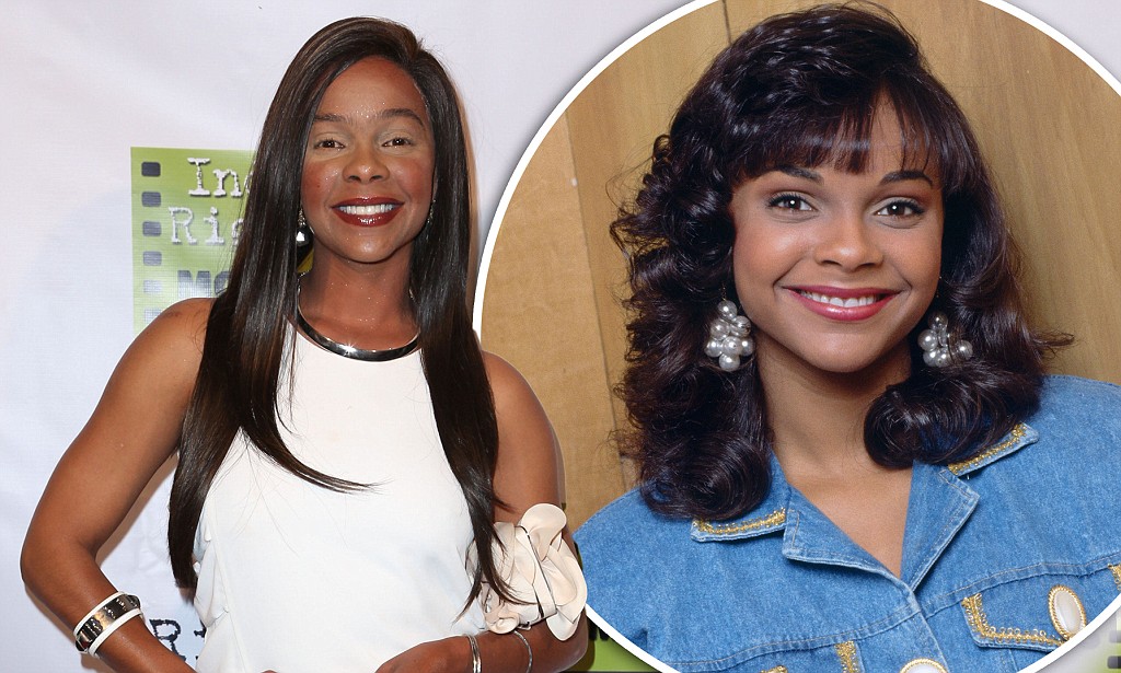 lark-voorhies-net-worth