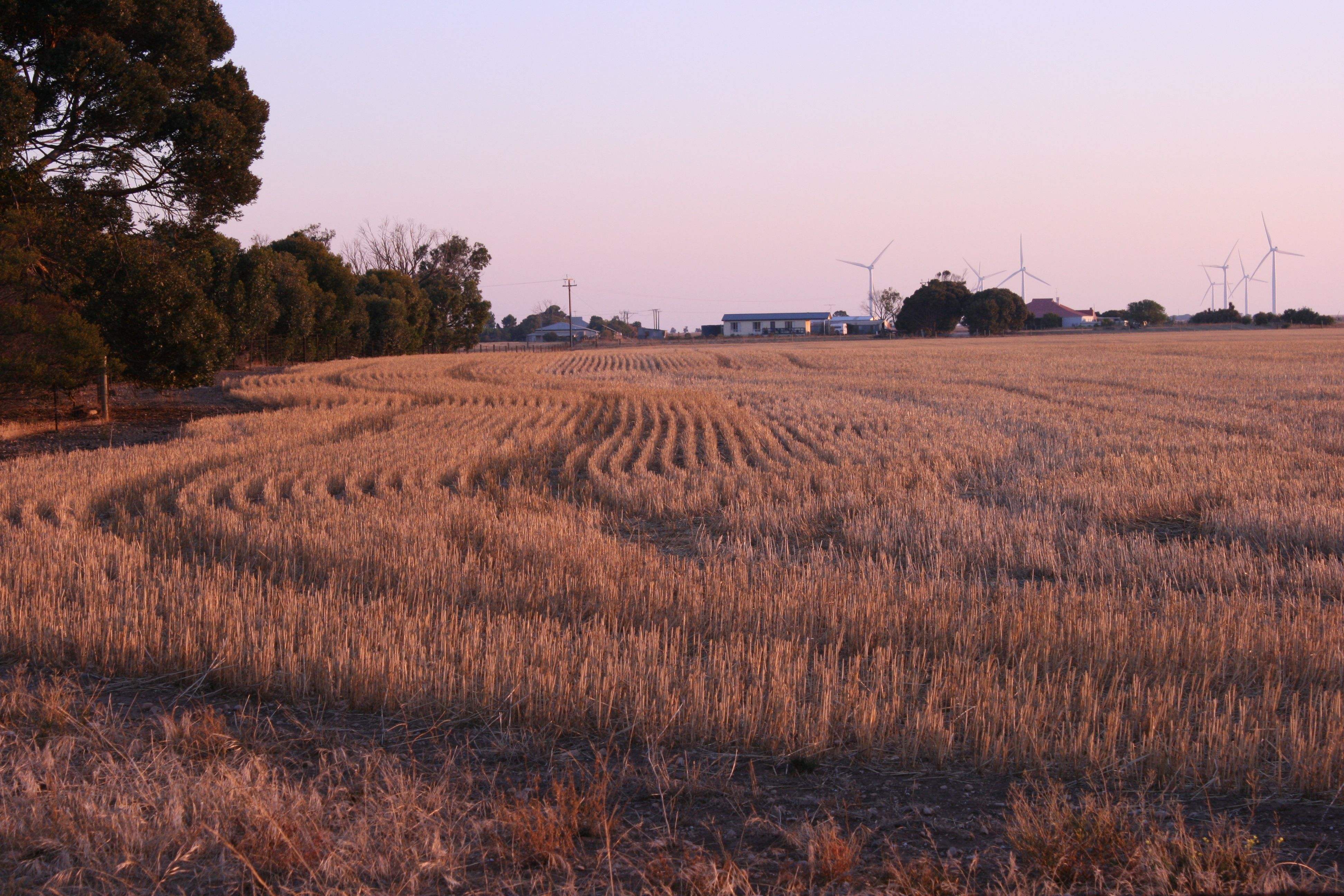 larry-wheat-family