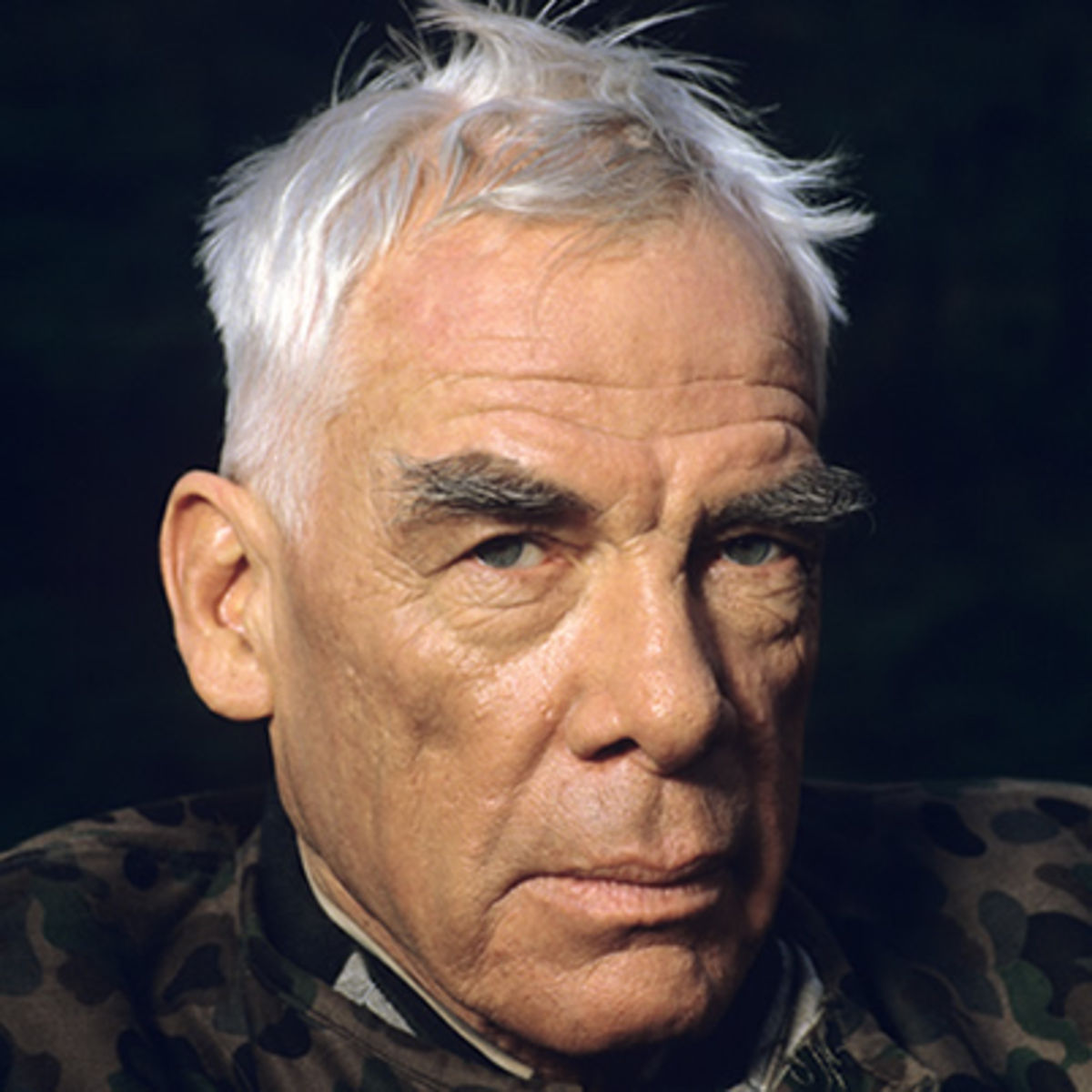 images-of-lee-marvin