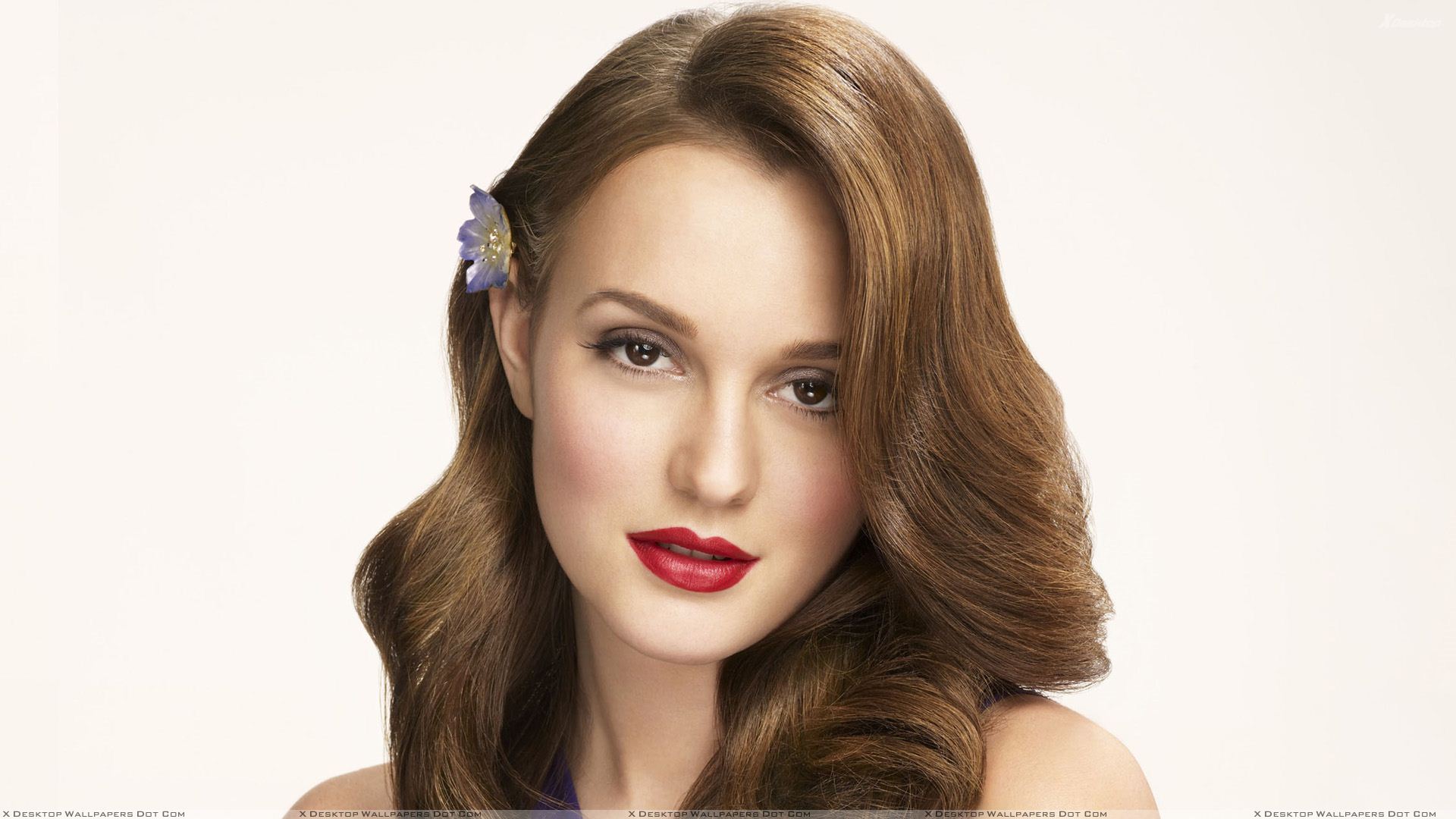 leighton-meester-net-worth