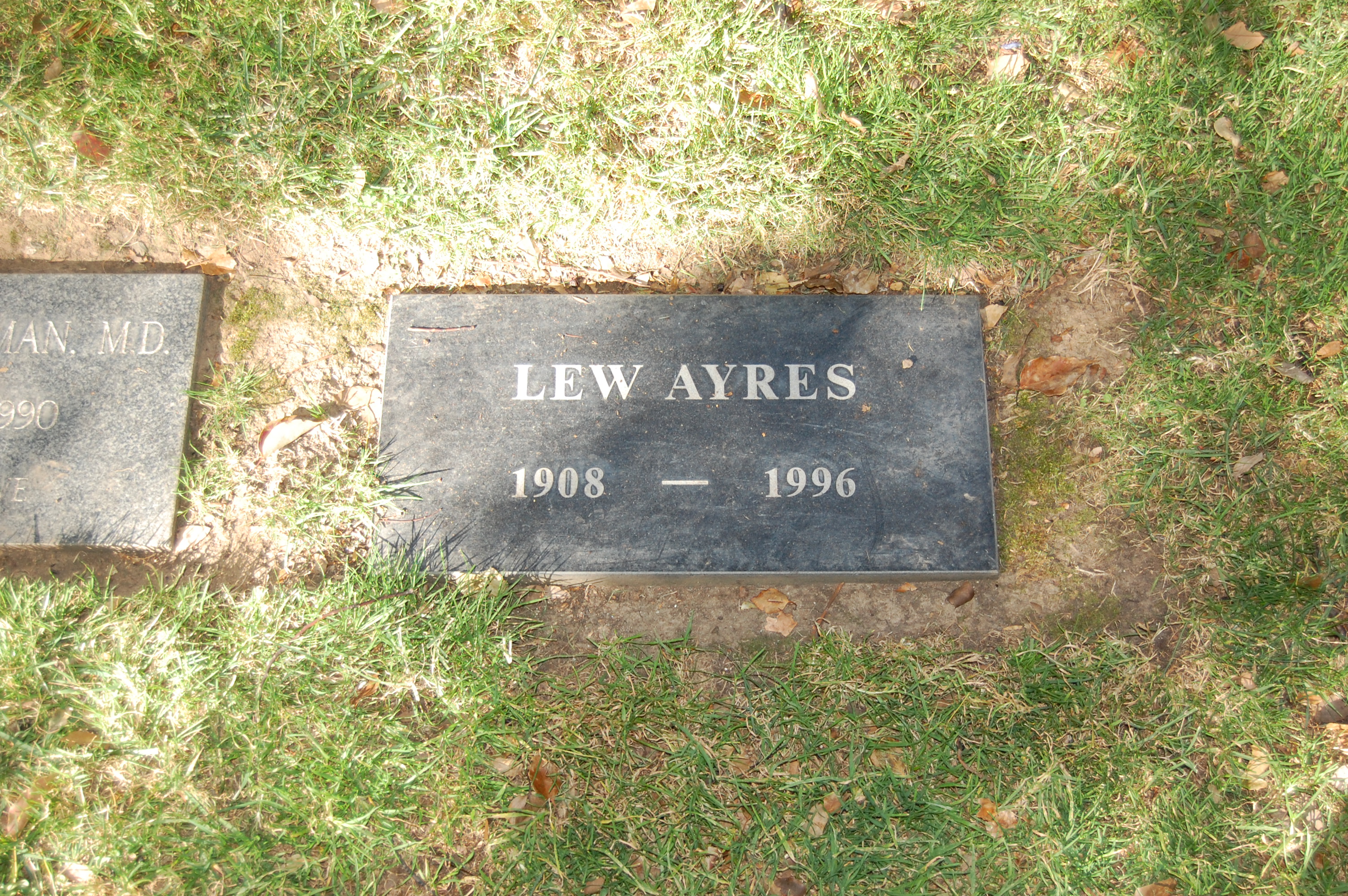 lew-ayres-news