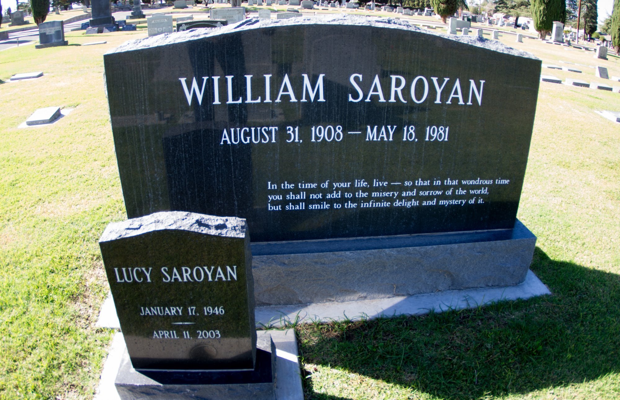 lucy-saroyan-news