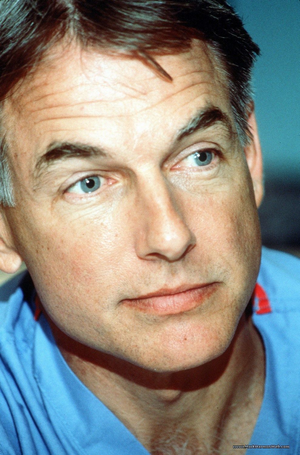 mark-harmon-news