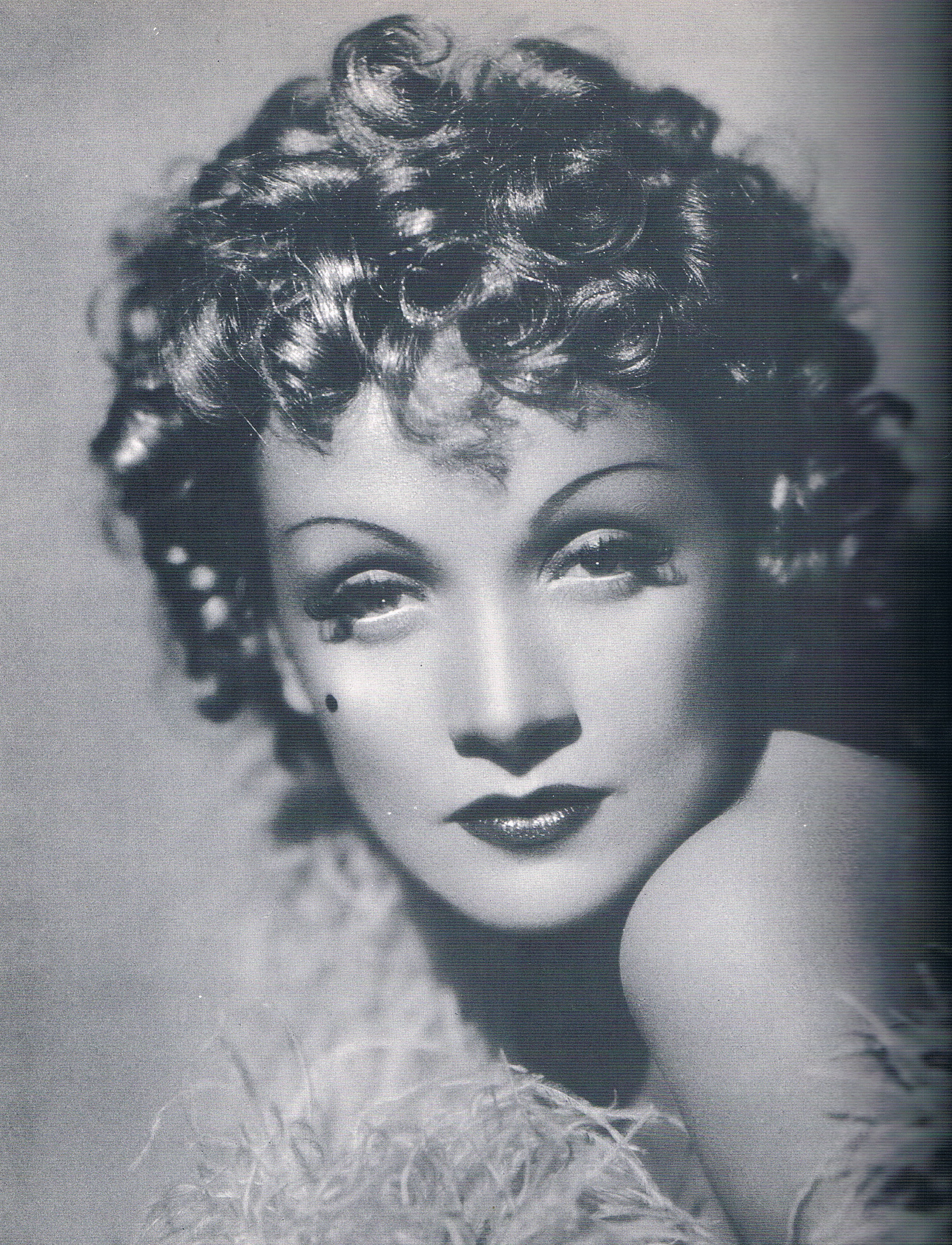 marlene-dietrich-hd-wallpaper