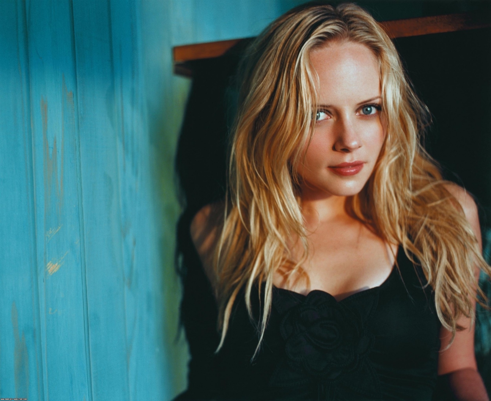 marley-shelton-2015