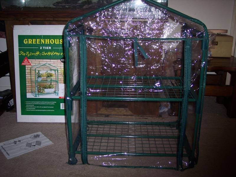 images-of-martha-greenhouse