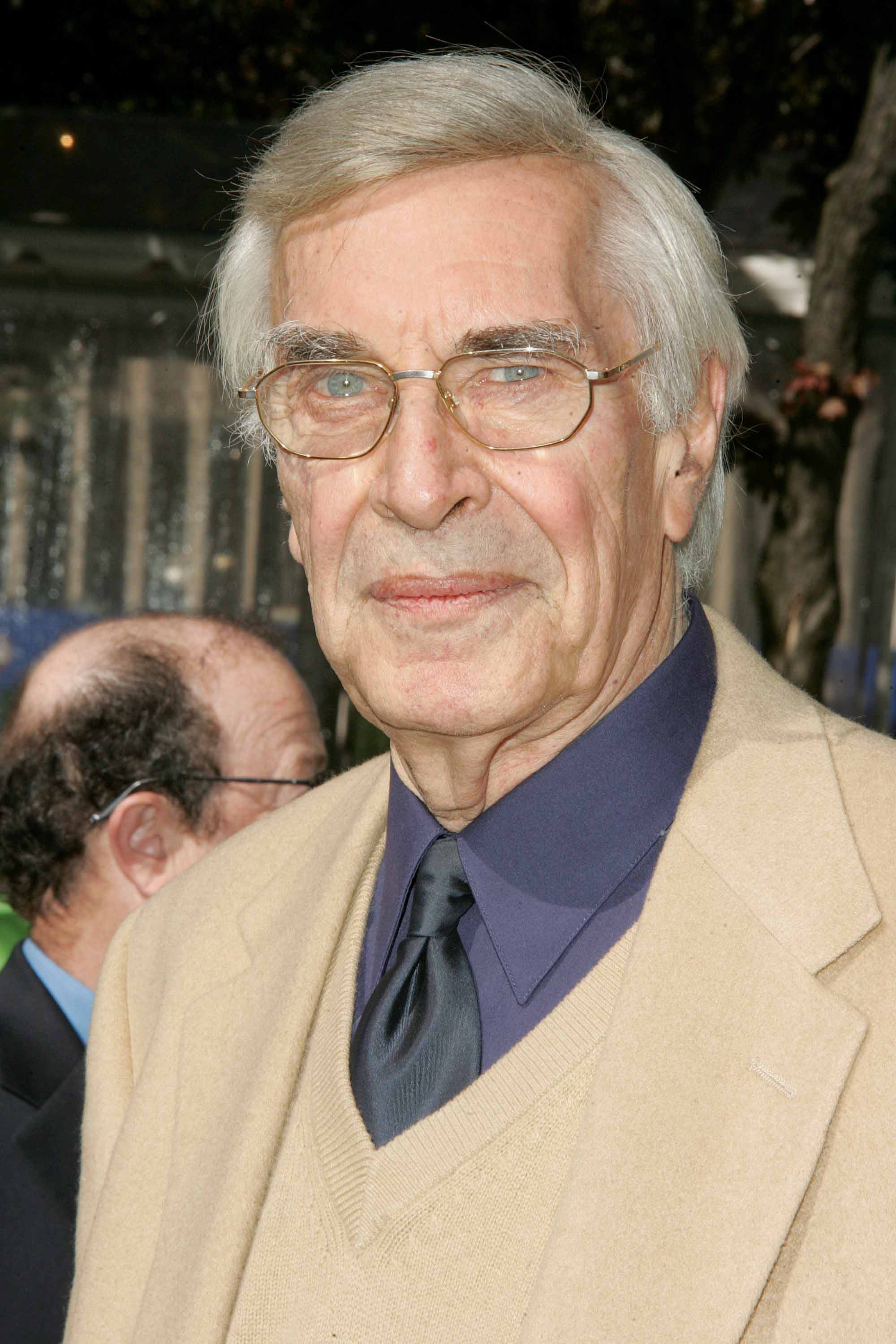 images-of-martin-landau