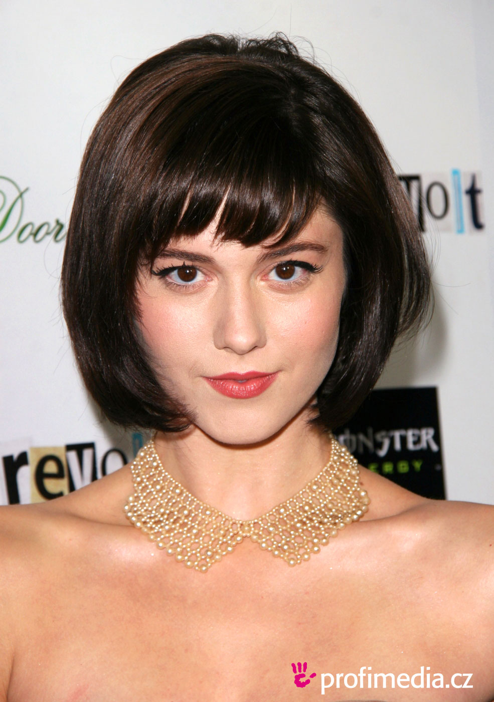 mary-elizabeth-winstead-net-worth