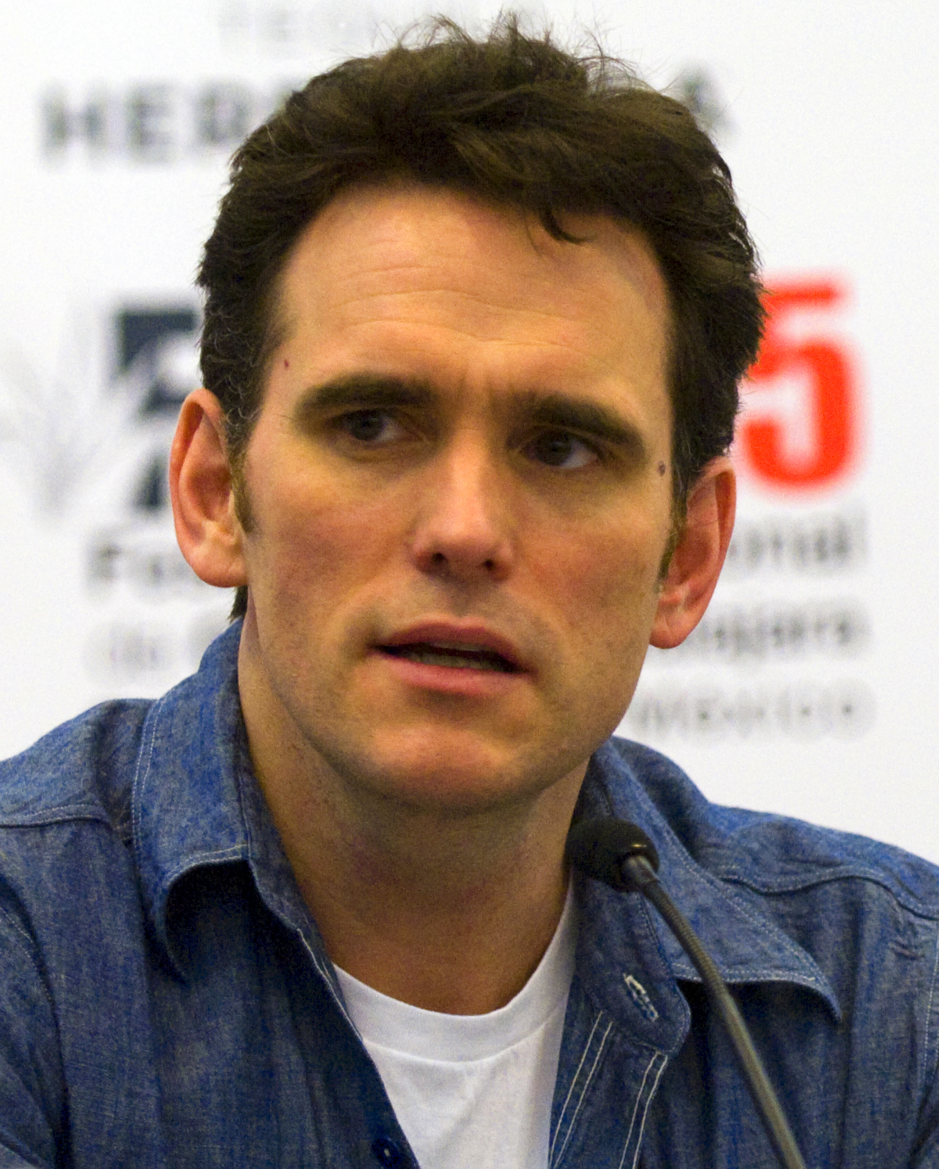 images-of-matt-dillon