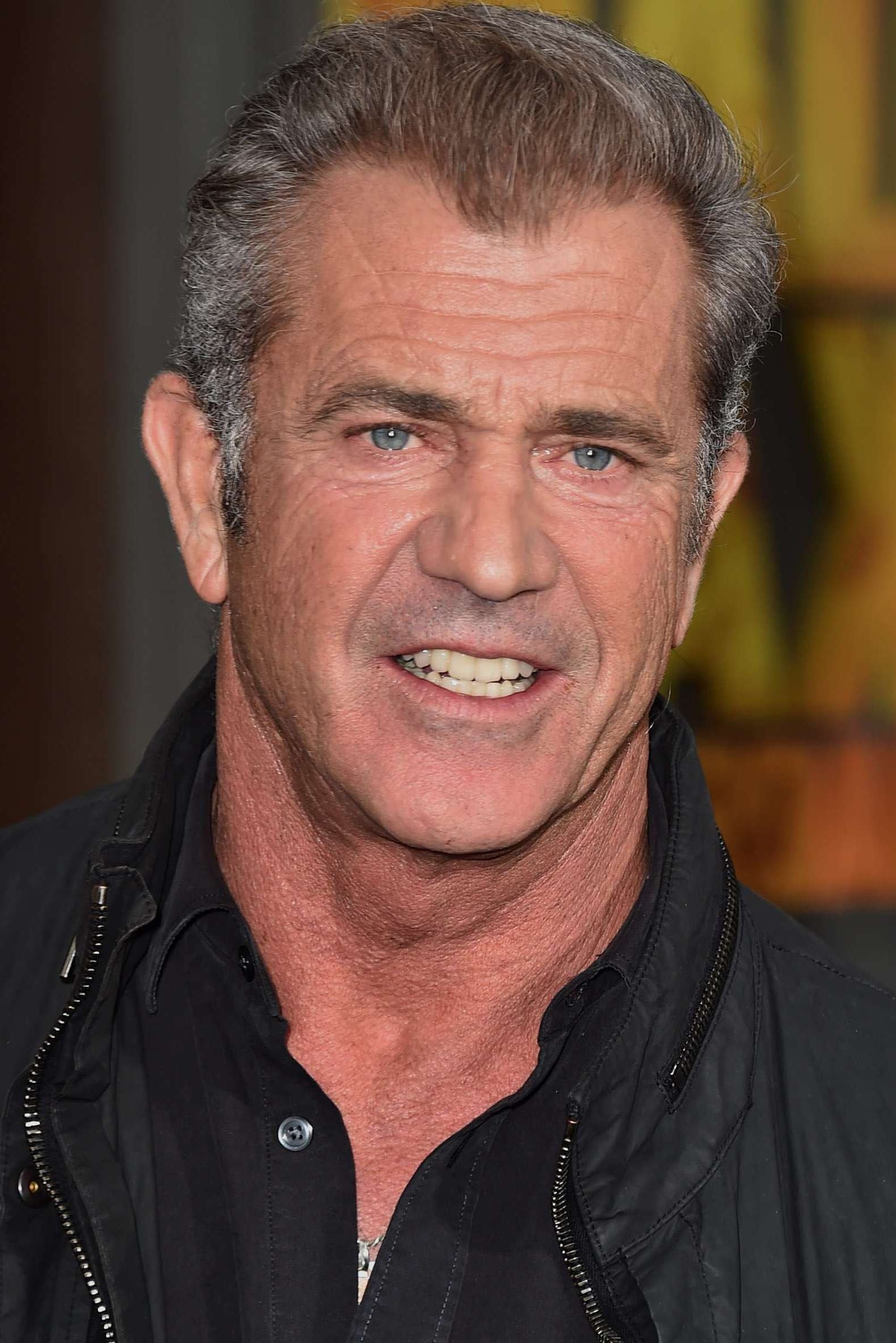 mel-gibson-net-worth