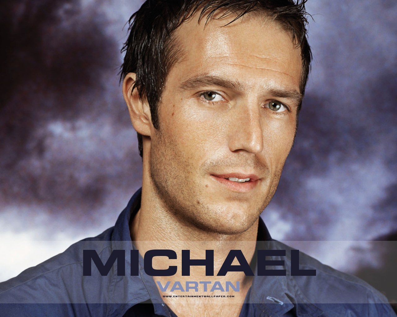 michael-vartan-movies