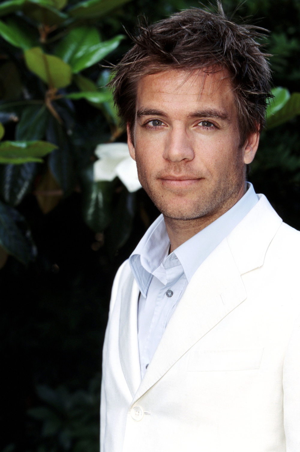 michael-weatherly-gossip