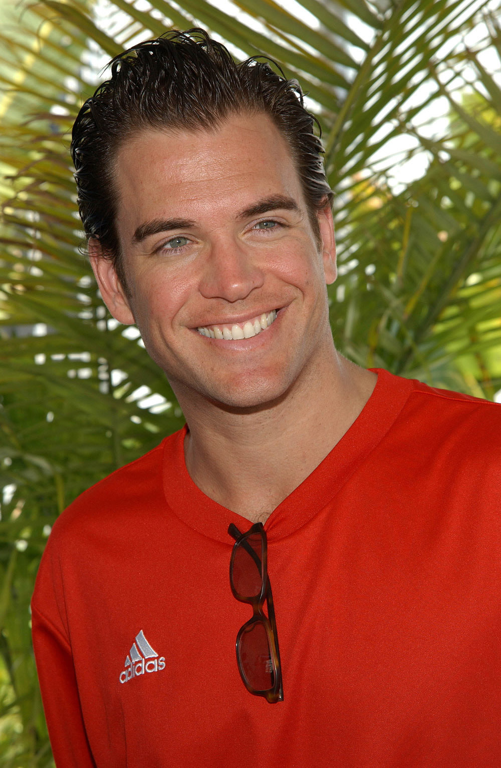 michael-weatherly-photos