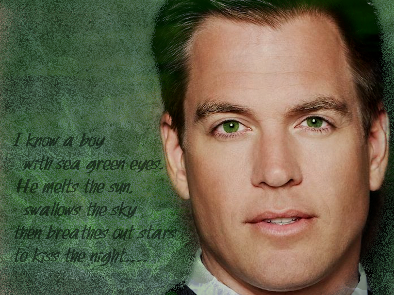 michael-weatherly-wedding