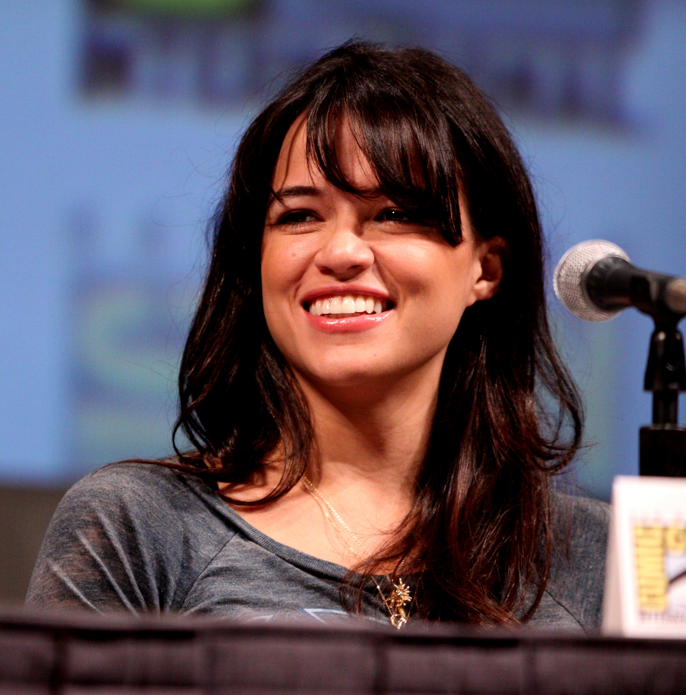 michelle-rodriguez-net-worth