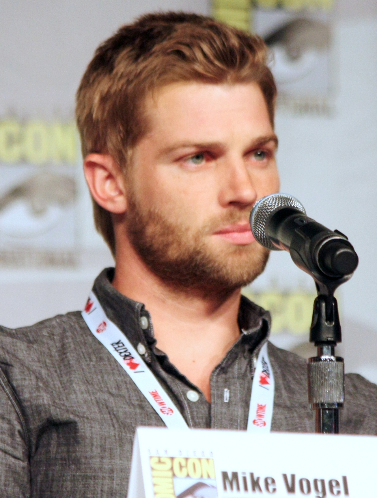 mike-vogel-scandal