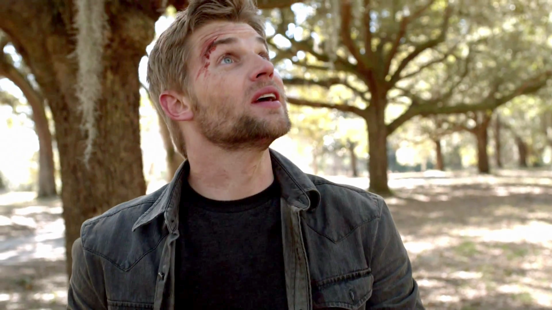 mike-vogel-summertime