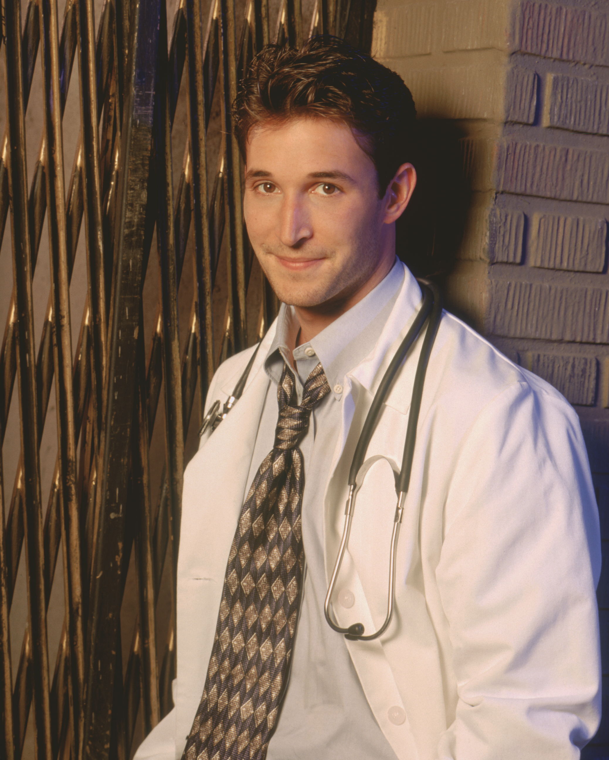 noah-wyle-party