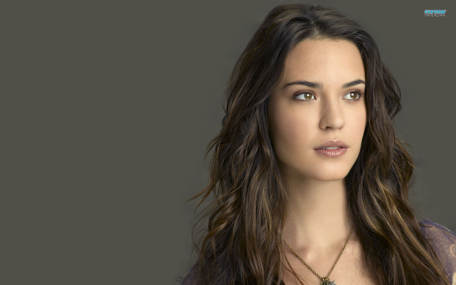 odette-annable-gossip