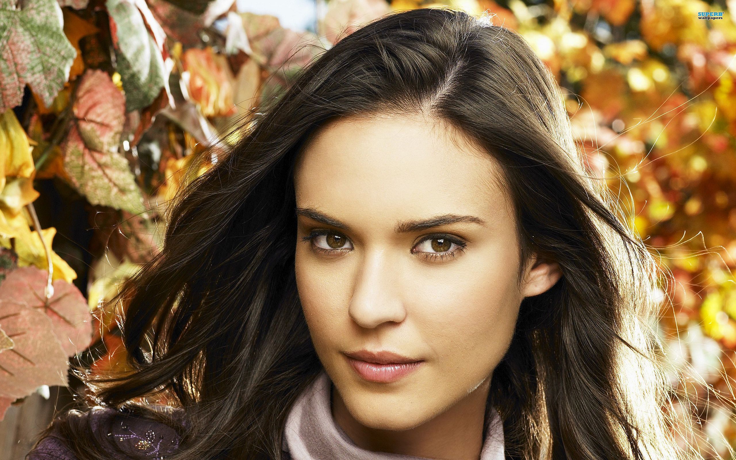odette-annable-young