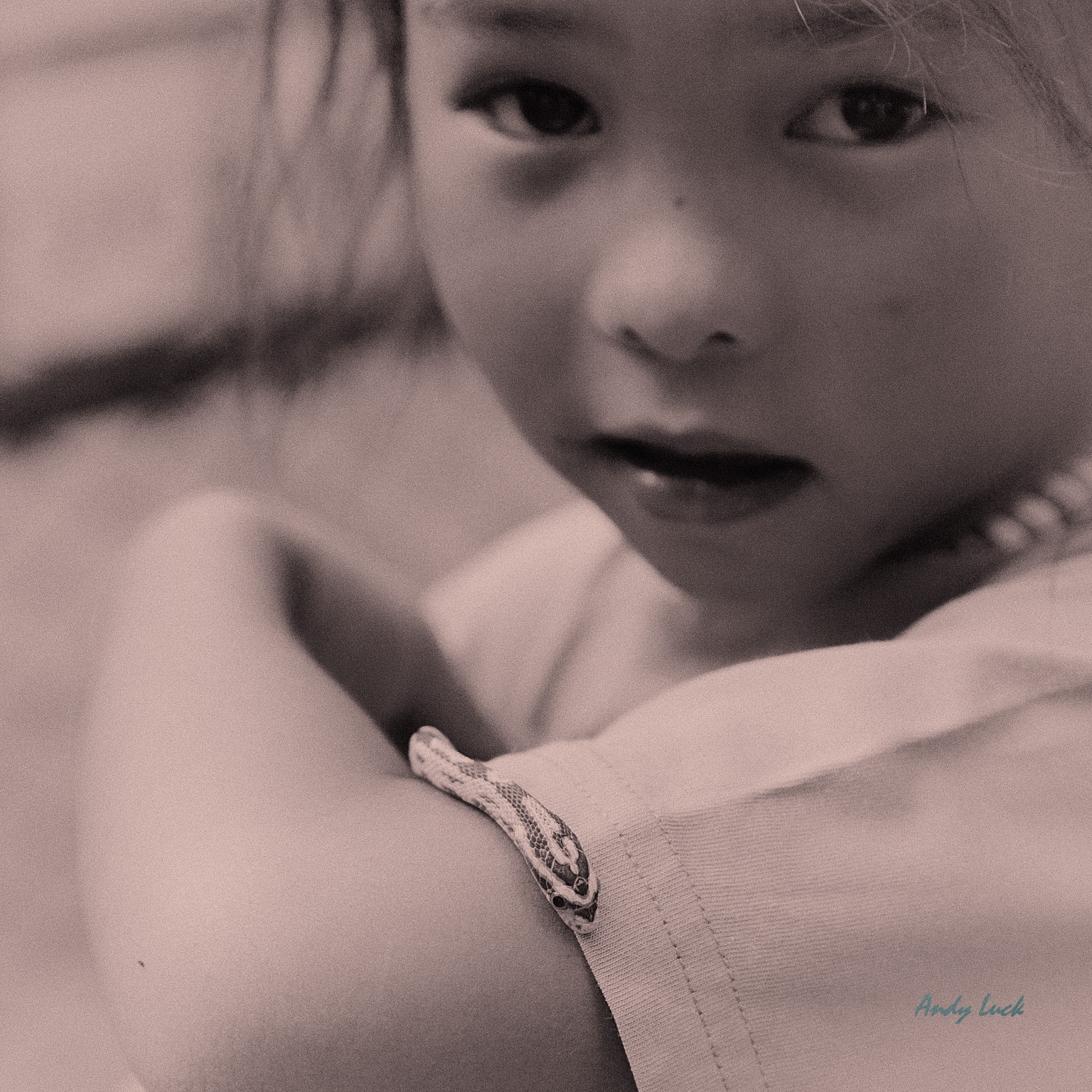 images-of-paula-trueman