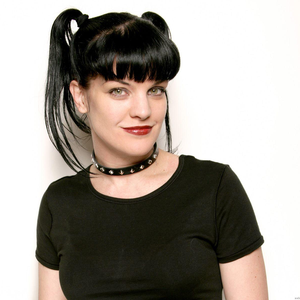 pauley-perrette-news