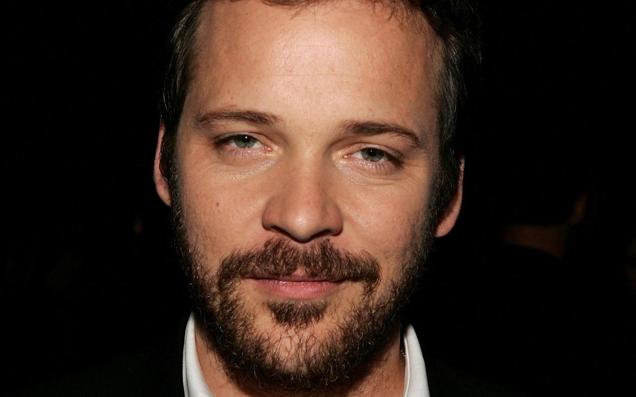 images-of-peter-sarsgaard